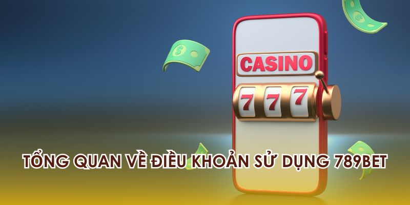 Tổng quan về điều khoản sử dụng 789BET